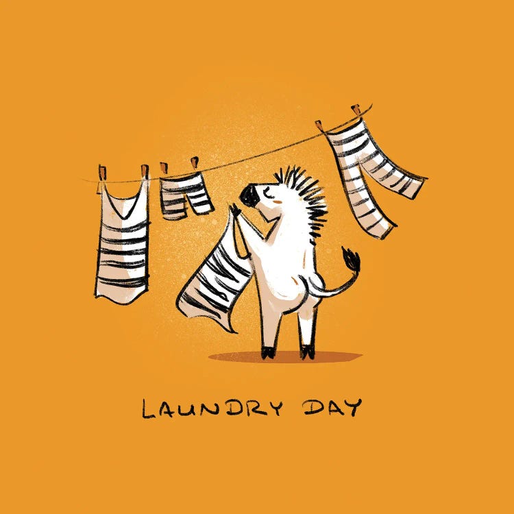 Laundry Day - Zebra