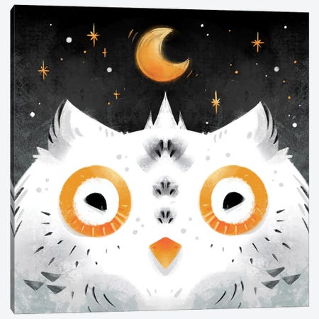 Snowy Owl Canvas Print #FFE51} by Ffion Evans Art Print
