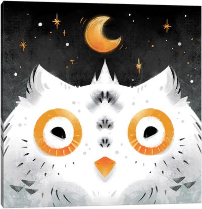 Snowy Owl Canvas Art Print - Ffion Evans