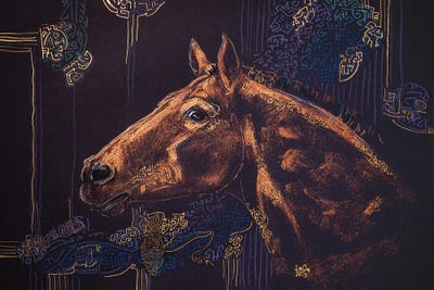 Ducia by Fefa Koroleva framed canvas print