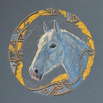 Sunny Stallion by Fefa Koroleva framed canvas print