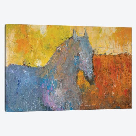 A Horse On Sunrise Canvas Print #FFK168} by Fefa Koroleva Canvas Art