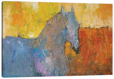 A Horse On Sunrise Canvas Art Print - Fefa Koroleva