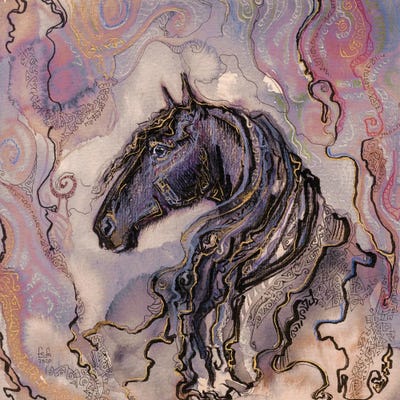 Black Beauty by Fefa Koroleva framed canvas print