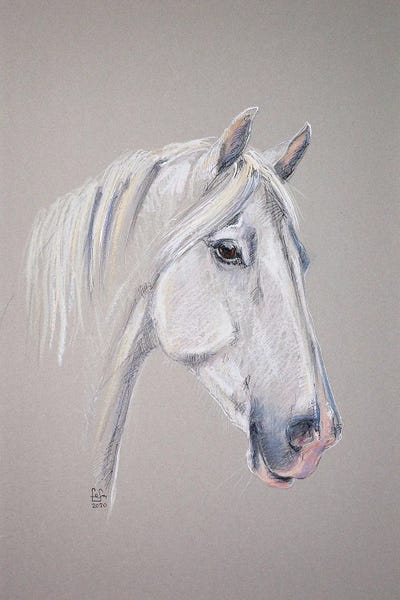 Orlov Trotter