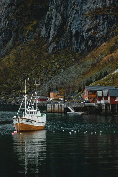 Fabian Fortmann: Safe Harbor by Fabian Fortmann