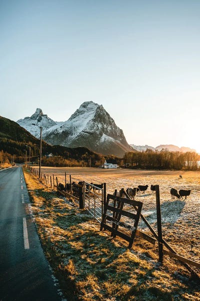 Fabian Fortmann: Frosty Sunset II by Fabian Fortmann