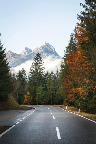 Fabian Fortmann: Autumn Road by Fabian Fortmann