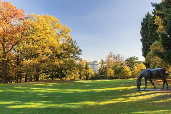 Fabian Fortmann: Autumn Park by Fabian Fortmann