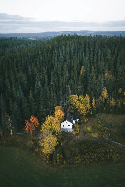 Fabian Fortmann: Last House For Miles by Fabian Fortmann