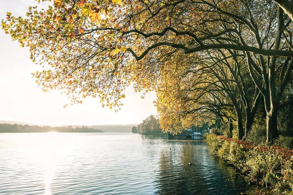 Fabian Fortmann: German Lake by Fabian Fortmann