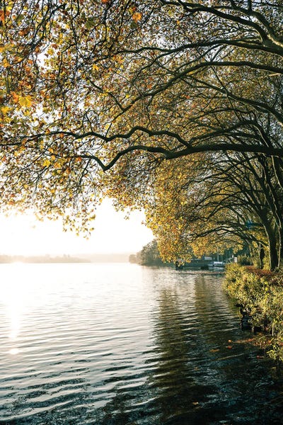 Fabian Fortmann: German Lake II by Fabian Fortmann