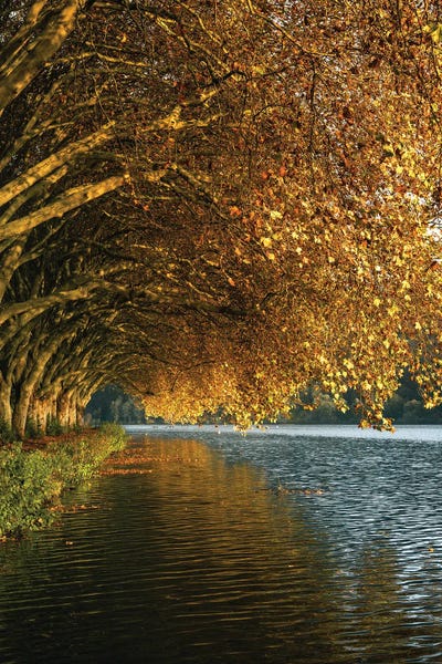 Fabian Fortmann: Autumn At The Lake by Fabian Fortmann