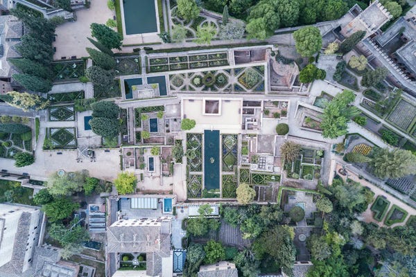 Fabian Fortmann: Arabic Gardens by Fabian Fortmann