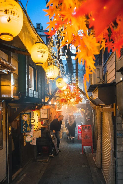 Tokyo Nightlife II by Fabian Fortmann wall art