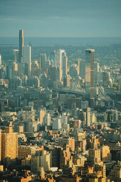 Urban Jungle Of NYC