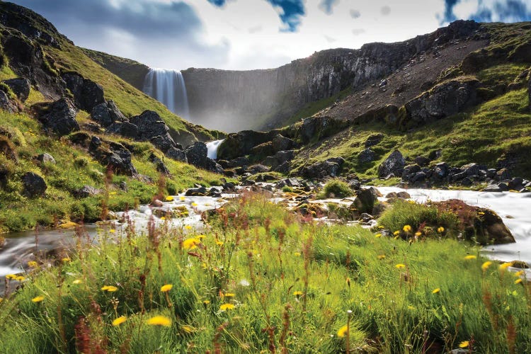 Icelandic Nature by Fabian Fortmann wall art