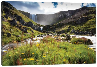 Icelandic Nature Canvas Art Print - Take a Hike