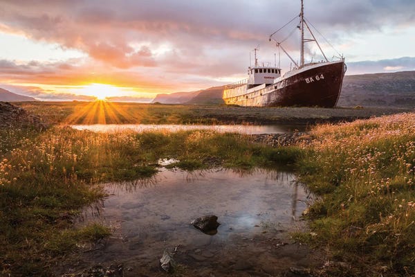 Fabian Fortmann: Anchoring Forever by Fabian Fortmann