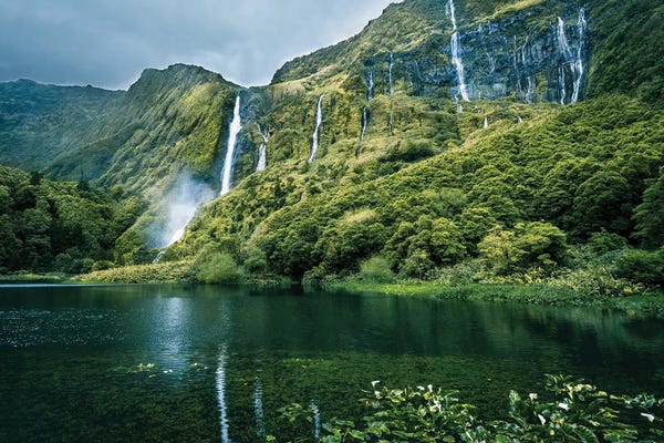 Fabian Fortmann: Waterfall-Wall by Fabian Fortmann