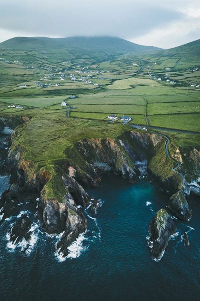 Fabian Fortmann: Grazing Land by Fabian Fortmann