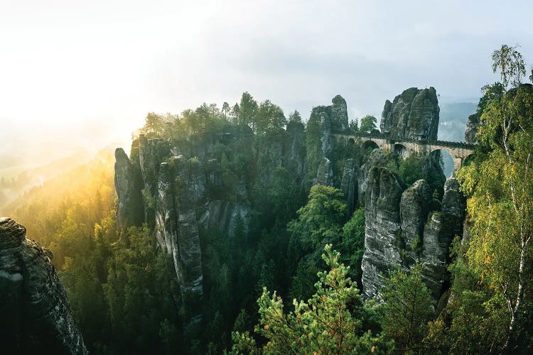 Fighting The Fog by Fabian Fortmann wall art