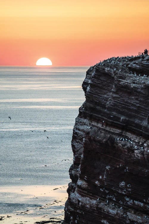 Bird Rock by Fabian Fortmann wall art