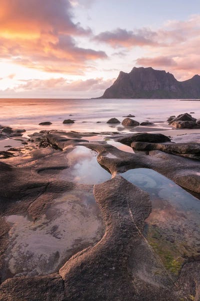 Purple Glow by Fabian Fortmann canvas print