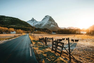 Frosty Sunset by Fabian Fortmann art print