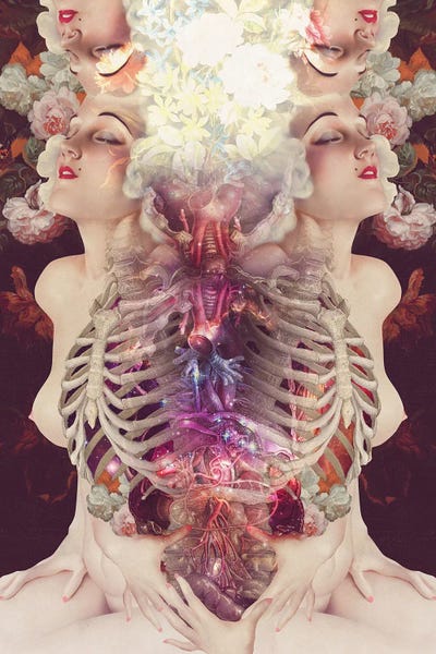 Skeletons: Affinity by FFO Art