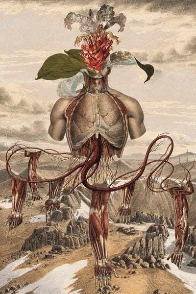 Similar To Frida Kahlo: Sumeru by FFO Art