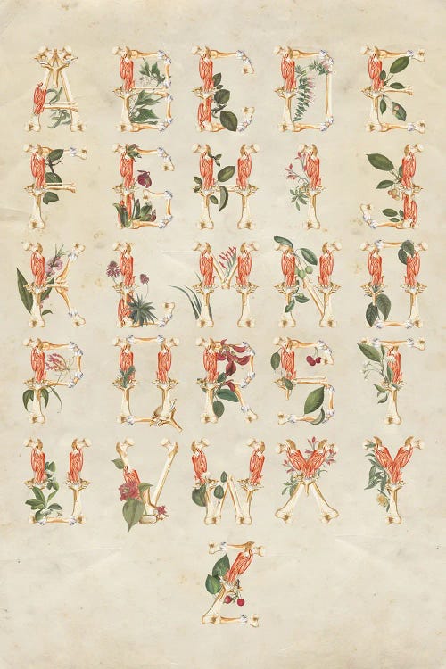 Alphabet by FFO Art wall art