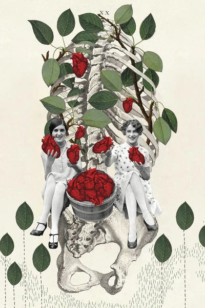 Skeletons: Hearts by FFO Art