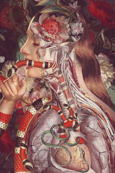 Envy by FFO Art framed canvas print