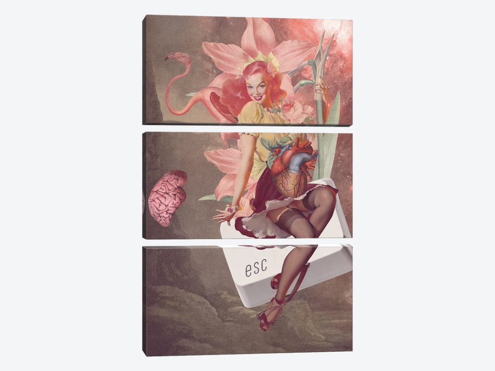 The Pink Escape by FFO Art 3-piece Art Print