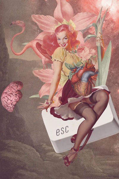 Flamingos: The Pink Escape by FFO Art