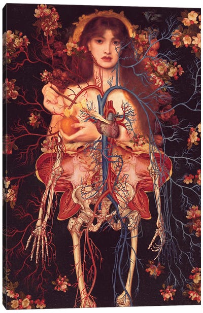 Venus Verticordia Canvas Art Print - Skeleton Art