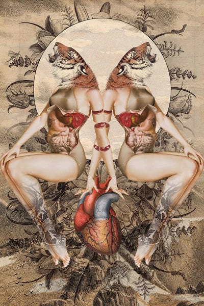 Anatomy: Tiger Lily by FFO Art