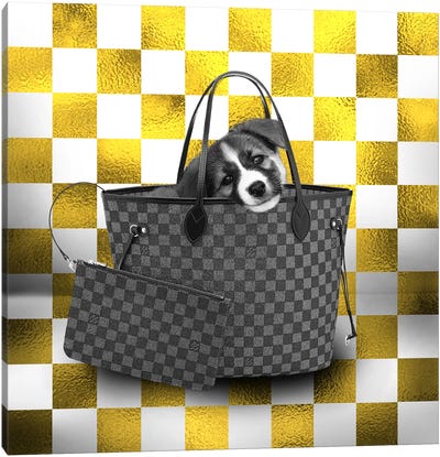Look at me, Play with me Canvas Art Print - Furry Fashion on the Runway