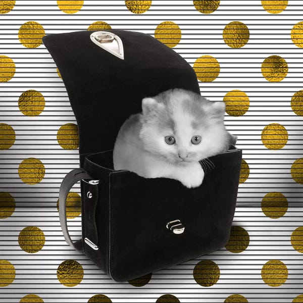 Bags & Purses: My Secret Hiding Place by 5by5collective