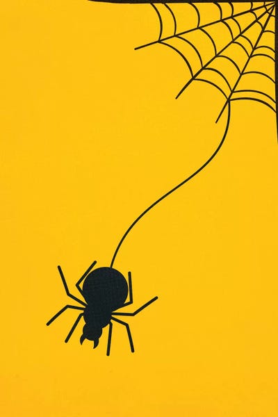 Spiders: Forming A Web Above Your Bed by 5by5collective