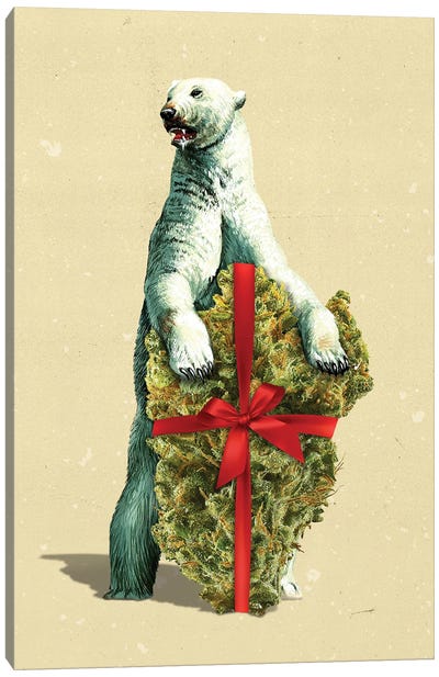 Santa Bear Canvas Art Print - Marijuana Art
