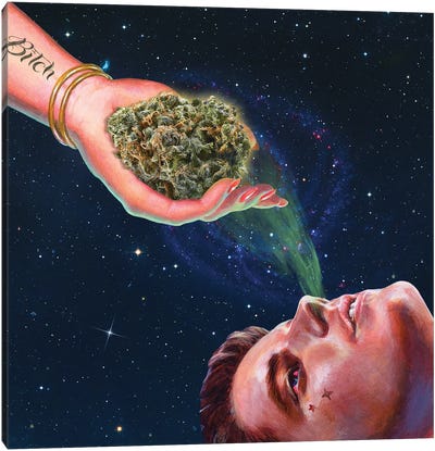 A Magical Moment Canvas Art Print - Marijuana Art