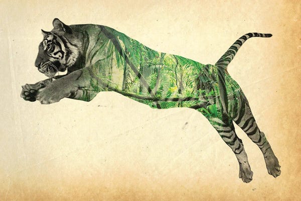 Double Exposure Photography: Tiger Double Exposure by FisherCraft