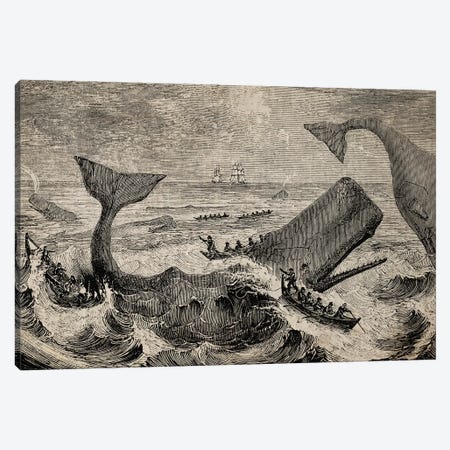 Old Whale Etching Canvas Print #FHC117} by FisherCraft Canvas Wall Art