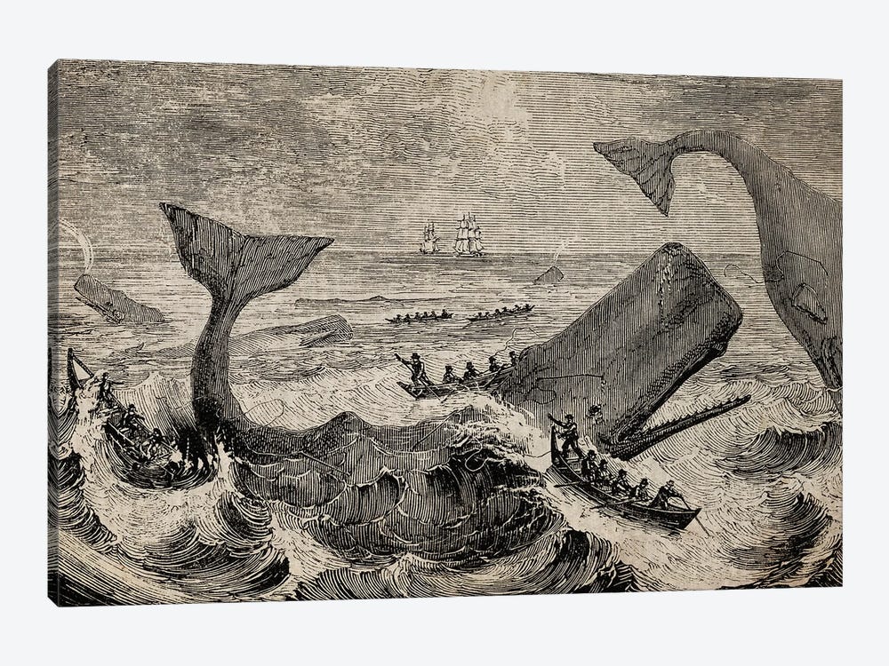 Old Whale Etching by FisherCraft 1-piece Canvas Art Print