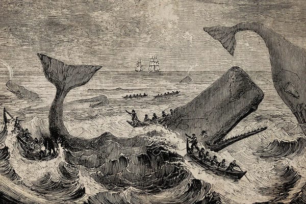 Cottagecore Goes Coastal: Old Whale Etching by FisherCraft