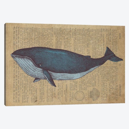 Vintage Whale Sketch On Old Paper Canvas Print #FHC119} by FisherCraft Canvas Art Print