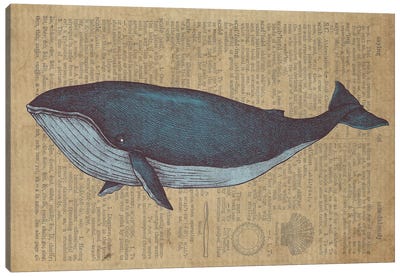 Vintage Whale Sketch On Old Paper Canvas Art Print - Cottagecore Goes Coastal