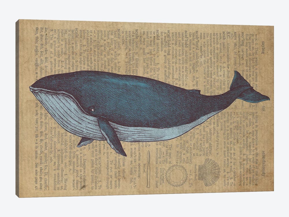 Vintage Whale Sketch On Old Paper by FisherCraft 1-piece Art Print